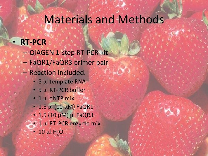Materials and Methods • RT-PCR – QIAGEN 1 -step RT-PCR kit – Fa. QR