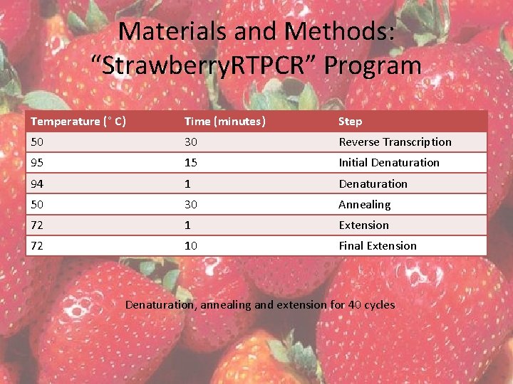 Materials and Methods: “Strawberry. RTPCR” Program Temperature (° C) Time (minutes) Step 50 30