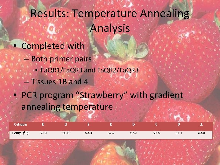 Results: Temperature Annealing Analysis • Completed with – Both primer pairs • Fa. QR