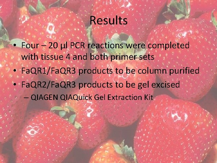 Results • Four – 20 µl PCR reactions were completed with tissue 4 and