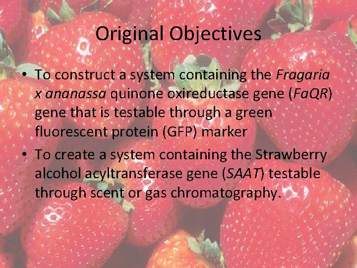Original Objectives • To construct a system containing the Fragaria x ananassa quinone oxireductase