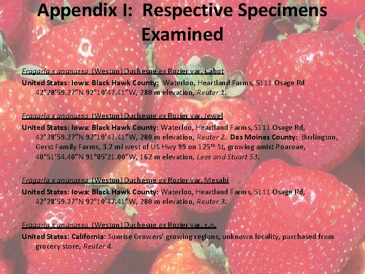 Appendix I: Respective Specimens Examined Fragaria x ananassa (Weston) Duchesne ex Rozier var. Cabot