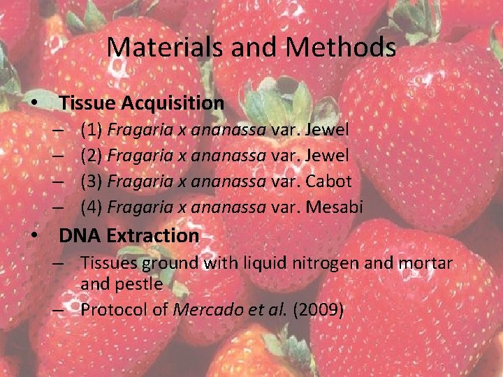 Materials and Methods • Tissue Acquisition – – (1) Fragaria x ananassa var. Jewel