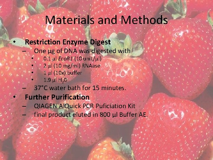 Materials and Methods • Restriction Enzyme Digest – • • – • 0. 1