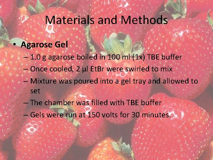 Materials and Methods • Agarose Gel – 1. 0 g agarose boiled in 100