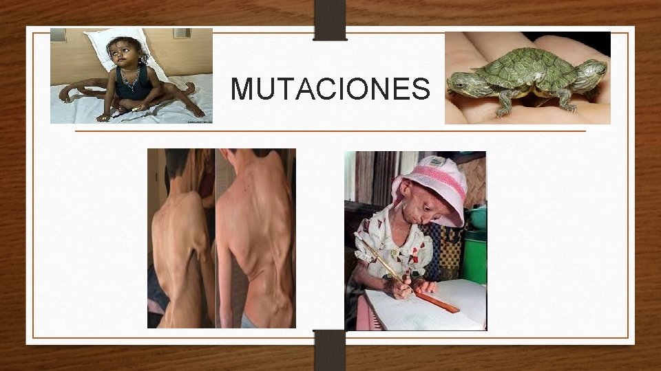 MUTACIONES 