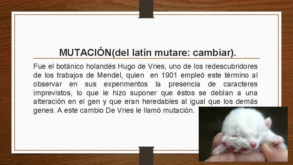 MUTACIÓN(del latín mutare: cambiar). Fue el botánico holandés Hugo de Vries, uno de los