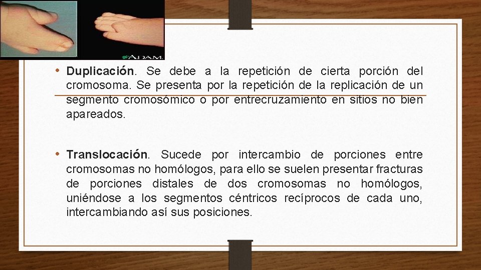  • Duplicación. Se debe a la repetición de cierta porción del cromosoma. Se