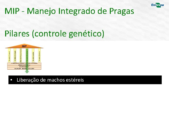 MIP - Manejo Integrado de Pragas Pilares (controle genético) • Liberação de machos estéreis