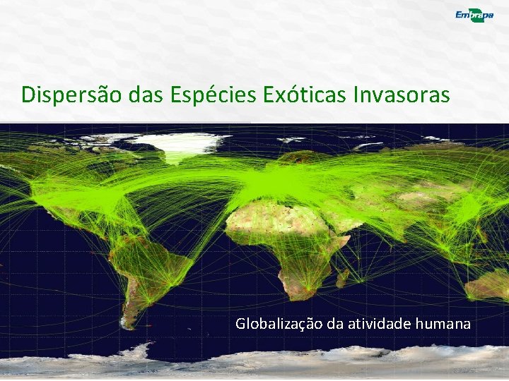 Dispersão das Espécies Exóticas Invasoras Globalização da atividade humana 