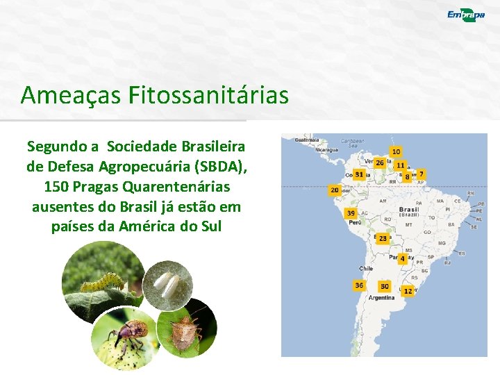 Ameaças Fitossanitárias Segundo a Sociedade Brasileira de Defesa Agropecuária (SBDA), 150 Pragas Quarentenárias ausentes
