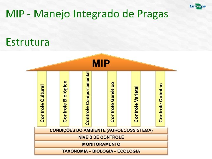 MIP - Manejo Integrado de Pragas Estrutura 