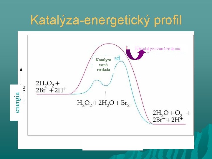 Katalýza-energetický profil Nekatalyzovaná reakcia energia Katalyzo vaná reakcia 