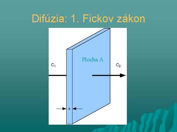 Difúzia: 1. Fickov zákon Plocha A 