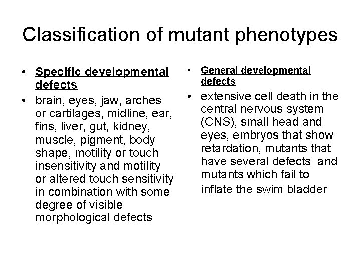 Classification of mutant phenotypes • Specific developmental defects • brain, eyes, jaw, arches or