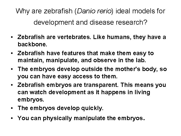 Why are zebrafish (Danio rerio) ideal models for development and disease research? • Zebrafish