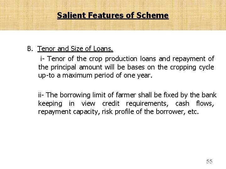 Salient Features of Scheme B. Tenor and Size of Loans. i- Tenor of the