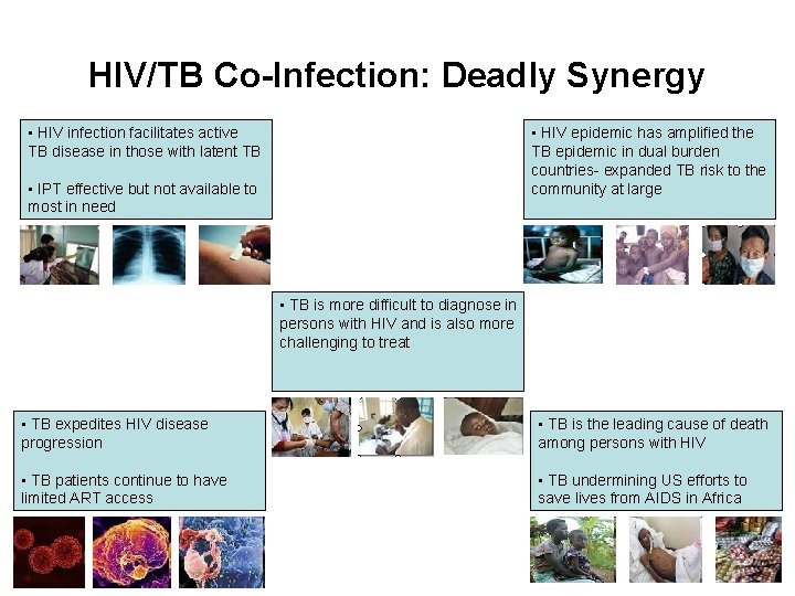 HIV/TB Co-Infection: Deadly Synergy • HIV infection facilitates active TB disease in those with HIV/TB Co-Infection: Deadly Synergy • HIV infection facilitates active TB disease in those with