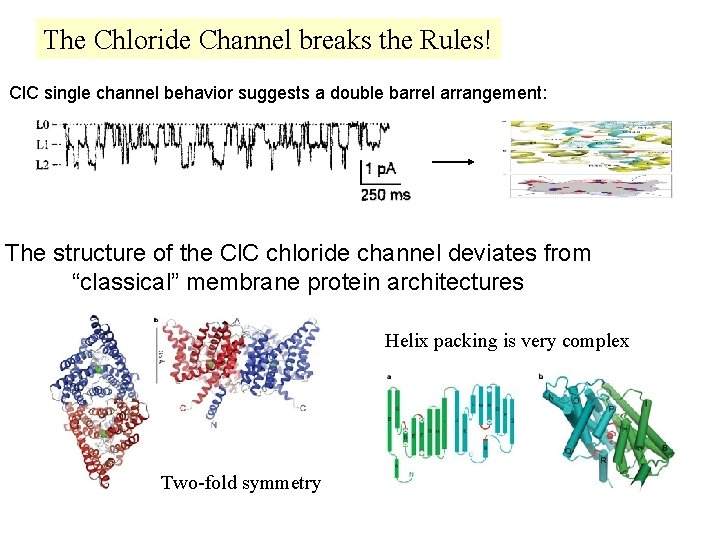 The Chloride Channel breaks the Rules! Cl. C single channel behavior suggests a double