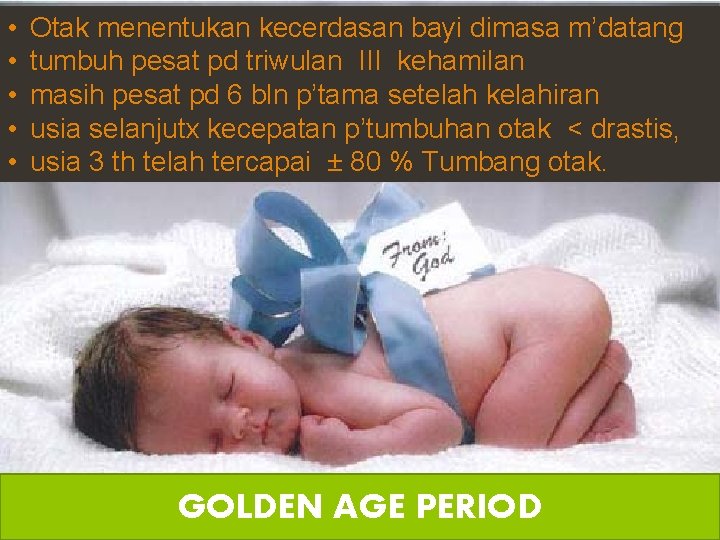  • • • Otak menentukan kecerdasan bayi dimasa m’datang Lanjutan tumbuh pesat pd