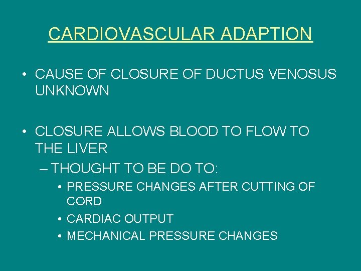 CARDIOVASCULAR ADAPTION • CAUSE OF CLOSURE OF DUCTUS VENOSUS UNKNOWN • CLOSURE ALLOWS BLOOD