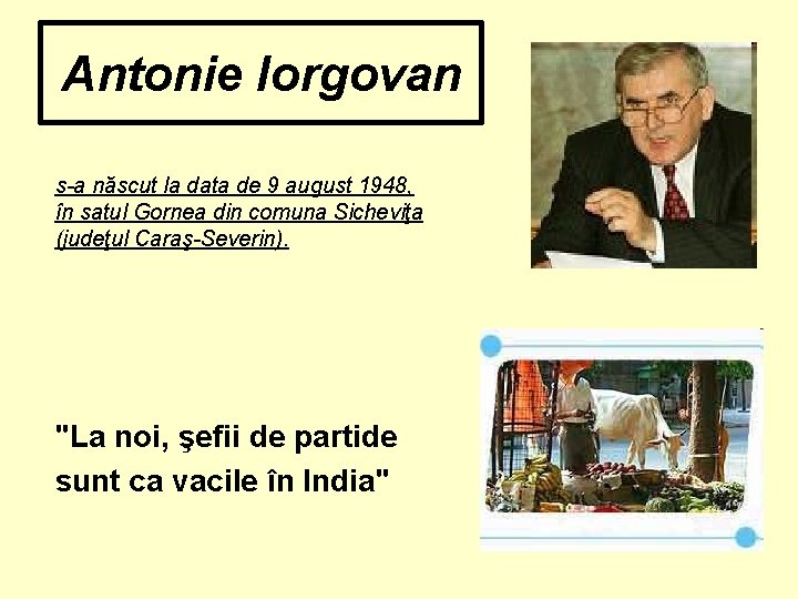 Antonie Iorgovan s-a născut la data de 9 august 1948, în satul Gornea din