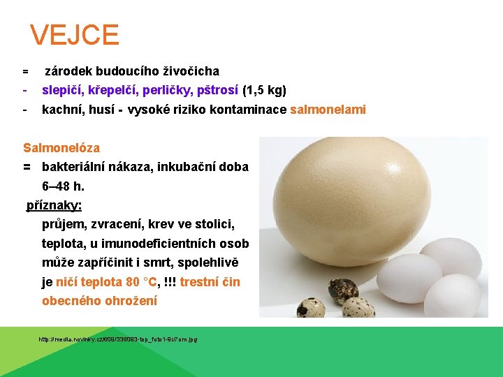 VEJCE = zárodek budoucího živočicha - slepičí, křepelčí, perličky, pštrosí (1, 5 kg) kachní,