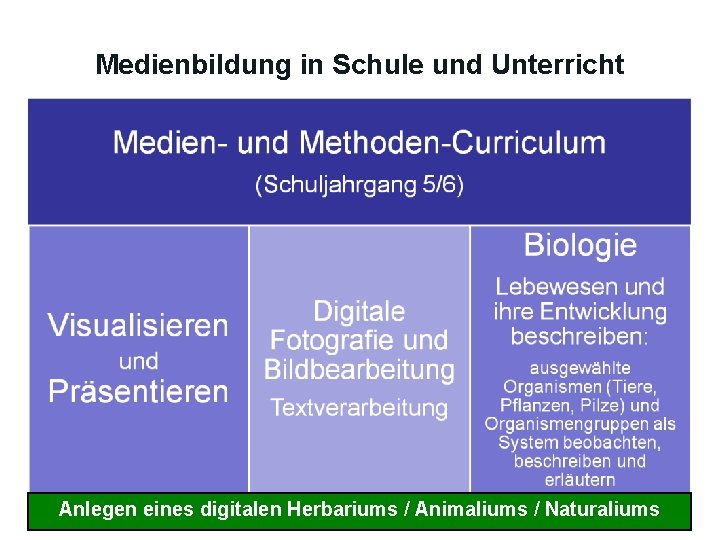 Medienbildung in Schule und Unterricht Anlegen eines digitalen Herbariums / Animaliums / Naturaliums 