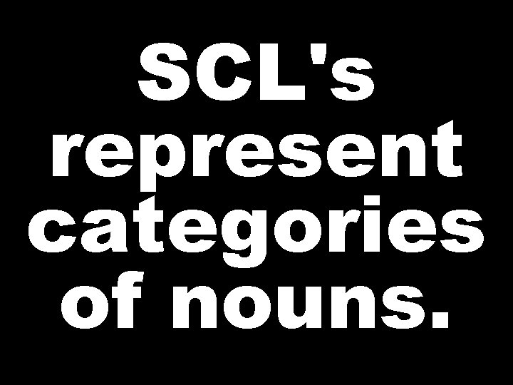 SCL's represent categories of nouns. 