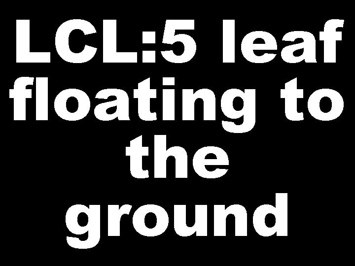 LCL: 5 leaf floating to the ground 