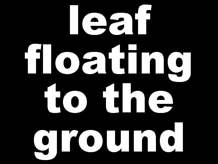 leaf floating to the ground 