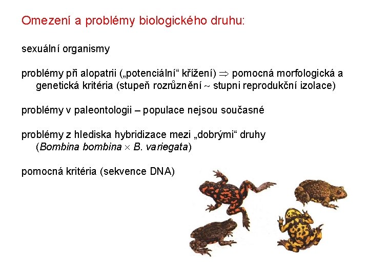 Omezení a problémy biologického druhu: sexuální organismy problémy při alopatrii („potenciální“ křížení) pomocná morfologická