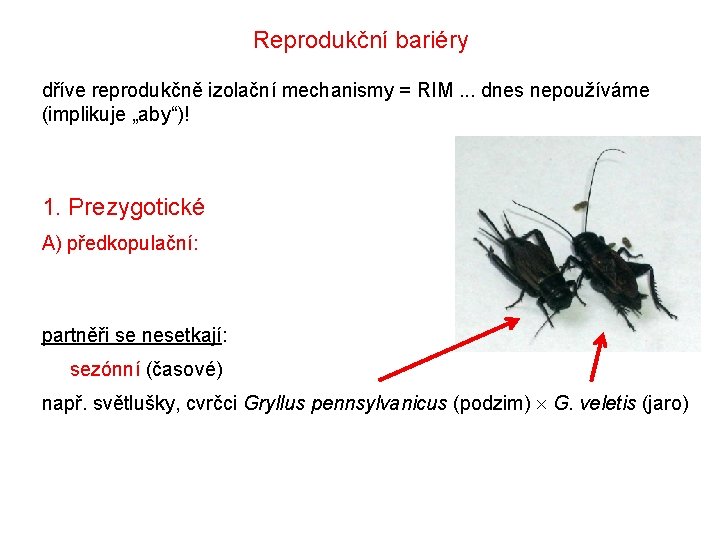 Reprodukční bariéry dříve reprodukčně izolační mechanismy = RIM. . . dnes nepoužíváme (implikuje „aby“)!