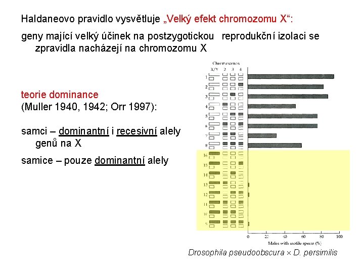 Haldaneovo pravidlo vysvětluje „Velký efekt chromozomu X“: geny mající velký účinek na postzygotickou reprodukční