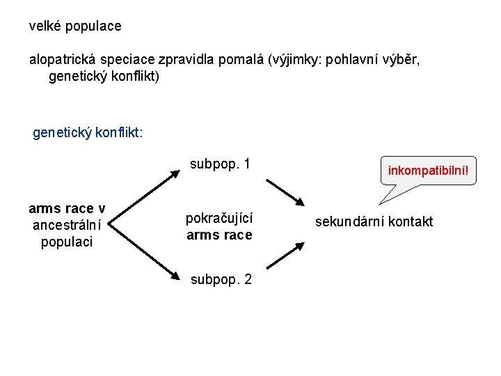 velké populace alopatrická speciace zpravidla pomalá (výjimky: pohlavní výběr, genetický konflikt) genetický konflikt: subpop.