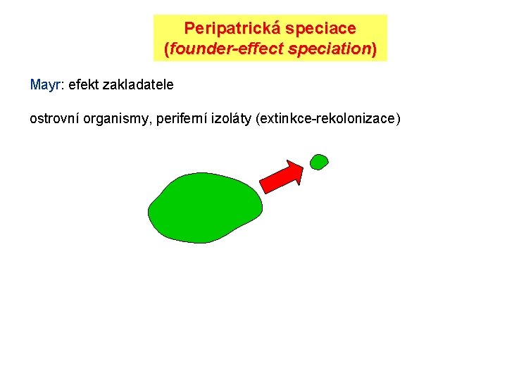 Peripatrická speciace (founder-effect speciation) Mayr: efekt zakladatele ostrovní organismy, periferní izoláty (extinkce-rekolonizace) 