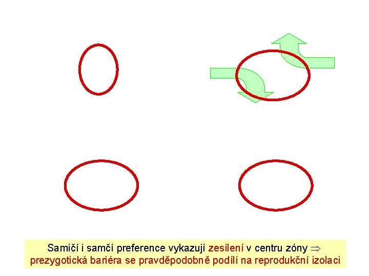 Samičí i samčí preference vykazují zesílení v centru zóny prezygotická bariéra se pravděpodobně podílí