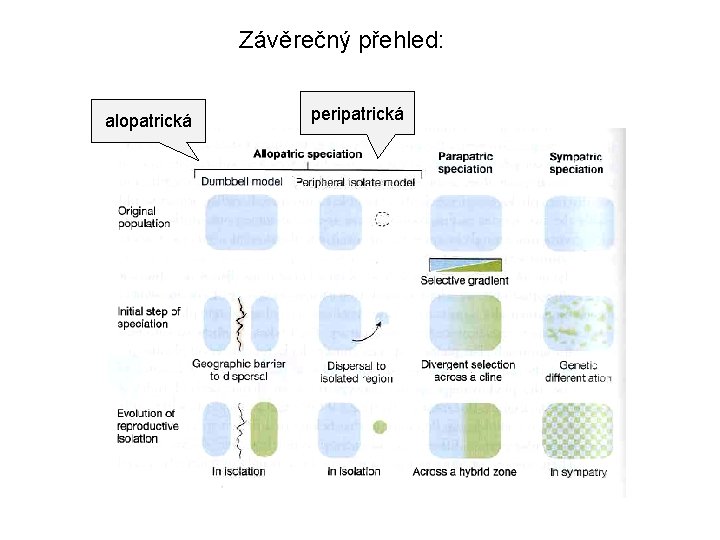 Závěrečný přehled: alopatrická peripatrická 