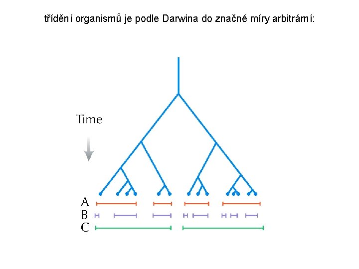 třídění organismů je podle Darwina do značné míry arbitrární: 