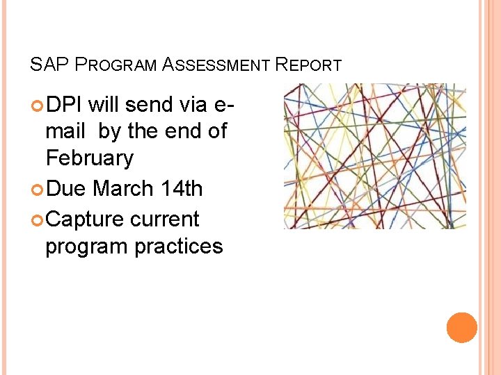 SAP PROGRAM ASSESSMENT REPORT DPI will send via e- mail by the end of