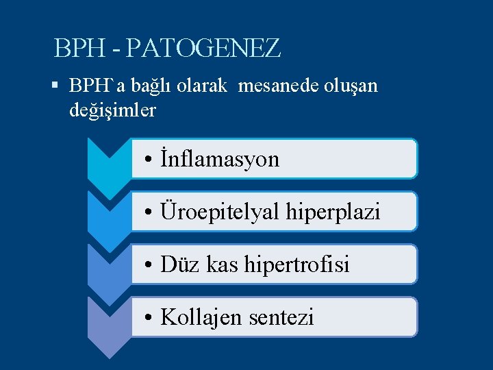 BPH - PATOGENEZ BPH`a bağlı olarak mesanede oluşan değişimler • İnflamasyon • Üroepitelyal hiperplazi