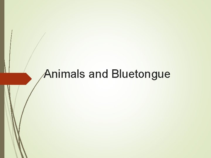 Animals and Bluetongue 