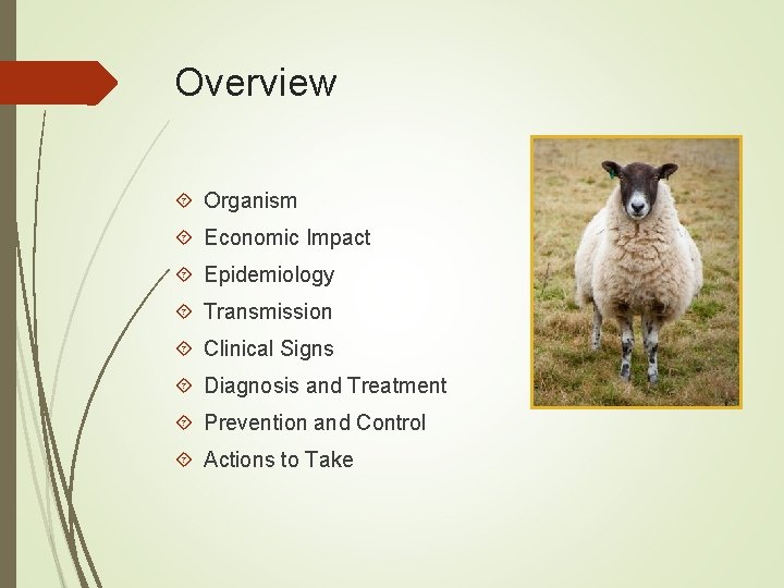 Overview Organism Economic Impact Epidemiology Transmission Clinical Signs Diagnosis and Treatment Prevention and Control