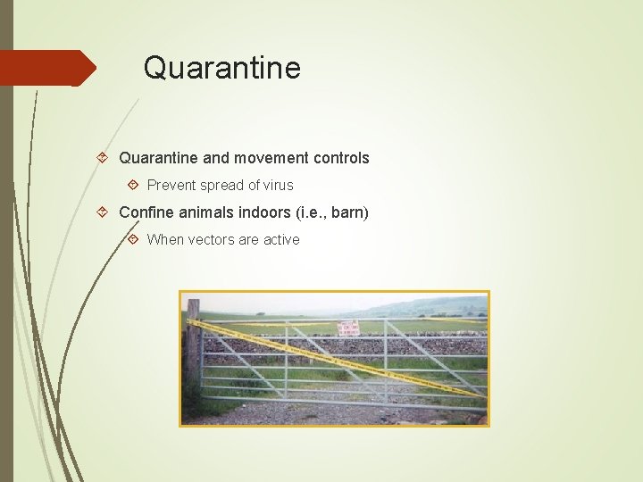 Quarantine and movement controls Prevent spread of virus Confine animals indoors (i. e. ,