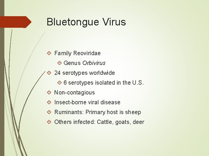 Bluetongue Virus Family Reoviridae Genus Orbivirus 24 serotypes worldwide 6 serotypes isolated in the