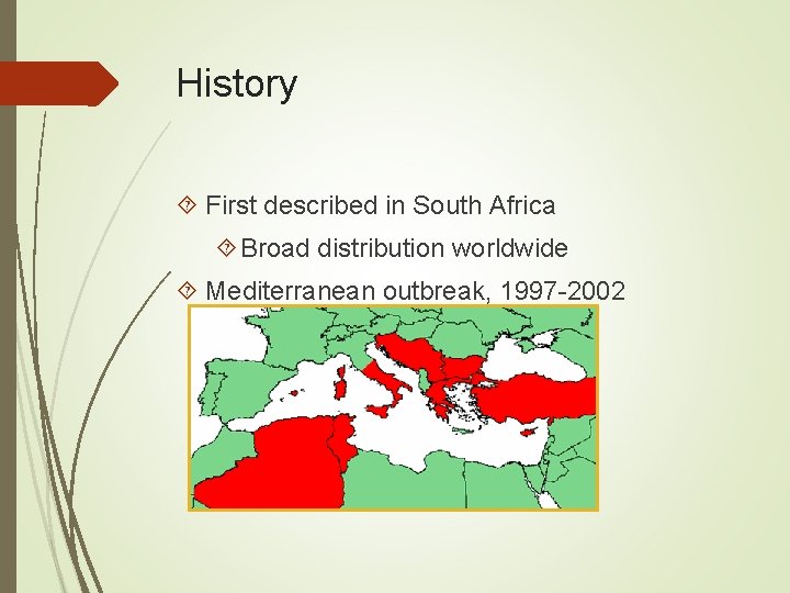 History First described in South Africa Broad distribution worldwide Mediterranean outbreak, 1997 -2002 