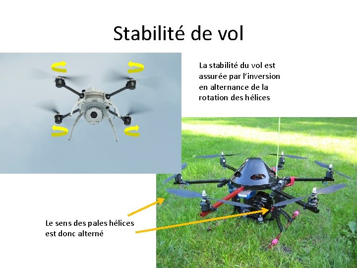 Stabilité de vol La stabilité du vol est assurée par l’inversion en alternance de