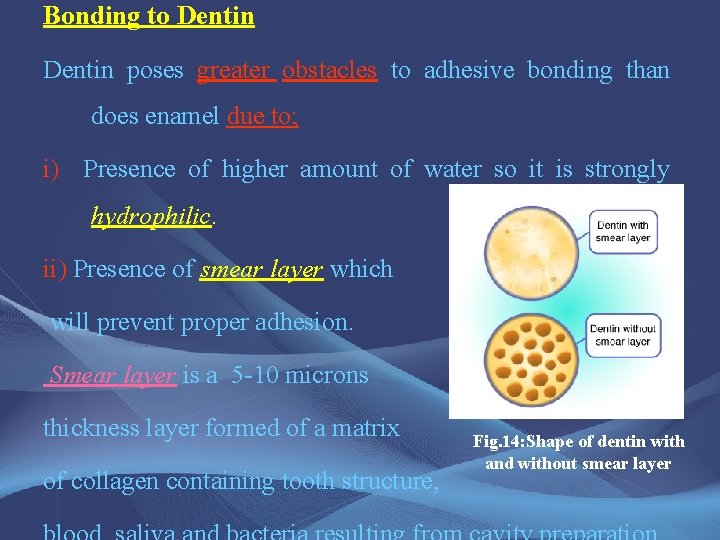 Bonding to Dentin poses greater obstacles to adhesive bonding than does enamel due to;