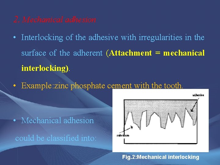 2. Mechanical adhesion • Interlocking of the adhesive with irregularities in the surface of