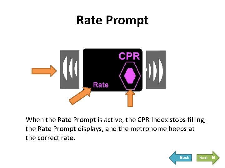 Rate Prompt When the Rate Prompt is active, the CPR Index stops filling, the Rate Prompt When the Rate Prompt is active, the CPR Index stops filling, the